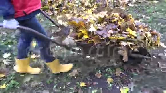 女人在秋天的花园里提着装满树叶的手推车手持的4K视频的预览图