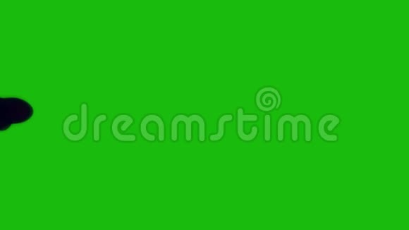 墨水在绿色屏幕上缓慢流动黑色的薄荷在水中飞溅色度键上的烟雾背景背景背景视频的预览图
