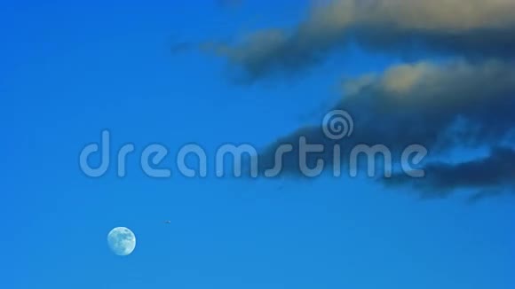 月蓝天云视频的预览图