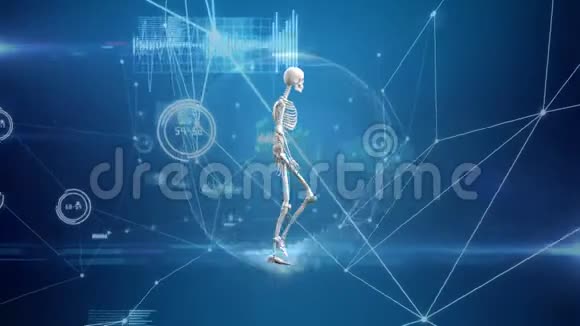 网络泡沫中人体骨架的数字合成视频的预览图