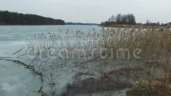 4K早春野生冰冻湖泊全景钓鱼的好去处视频的预览图