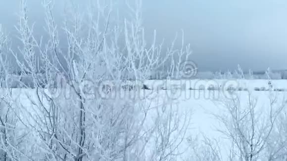 冬季雪林航拍令人叹为观止的自然景观冰冻的森林和黑暗的田野道路与雪视频的预览图