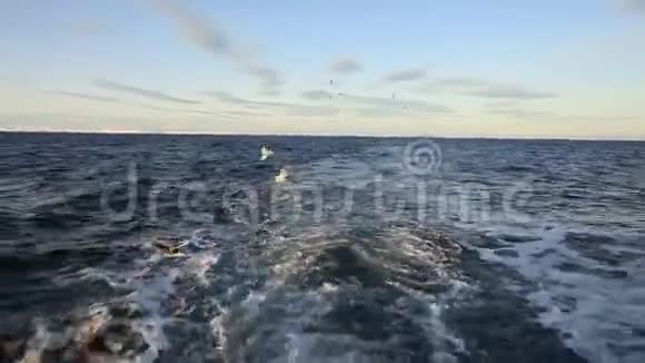 冬天从海上的渔船上观看视频的预览图