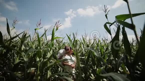 相爱的夫妻站在玉米地里拥抱和亲吻视频的预览图