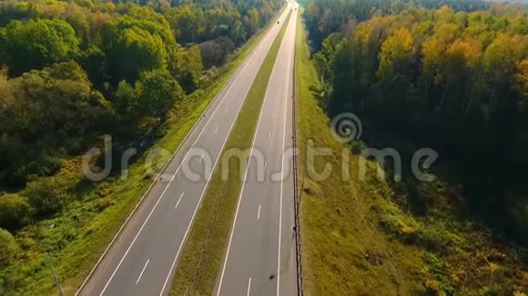 公路森林空中景观森林景观中的沥青路视频的预览图