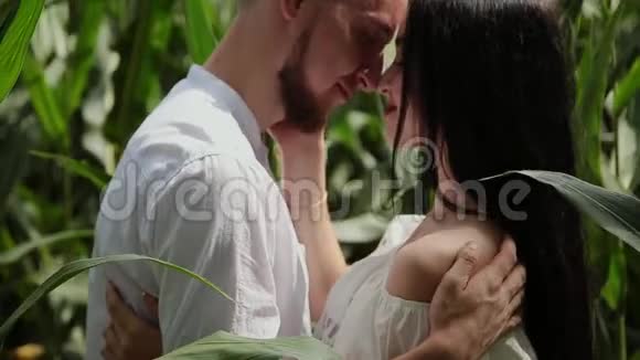 相爱的夫妻站在玉米地里拥抱和亲吻视频的预览图