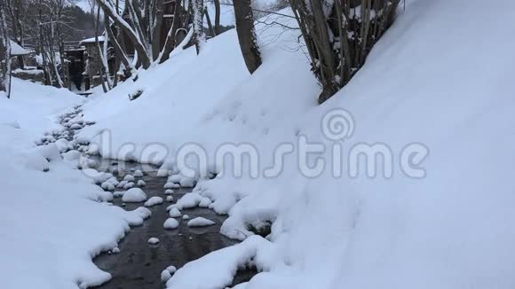 冬季公园河道雪溪水流4K视频的预览图