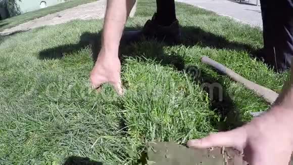 工人们用手卷起新草坪上的小草皮视频的预览图