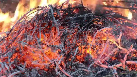 充满木头和火的热壁炉着火了时间流逝视频的预览图