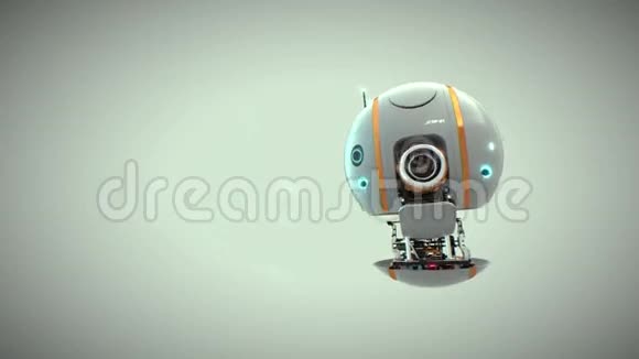 机器人机器人卡米拉机器人视频的预览图
