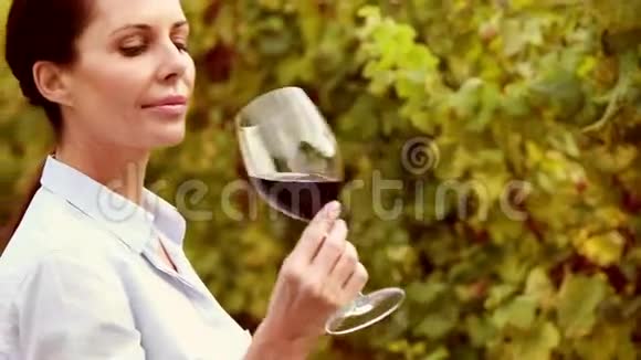女酿酒师旋转着红酒杯视频的预览图