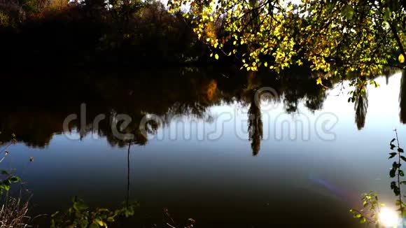湖泊景观树木倒映在水中镜头耀斑和秋日视频的预览图