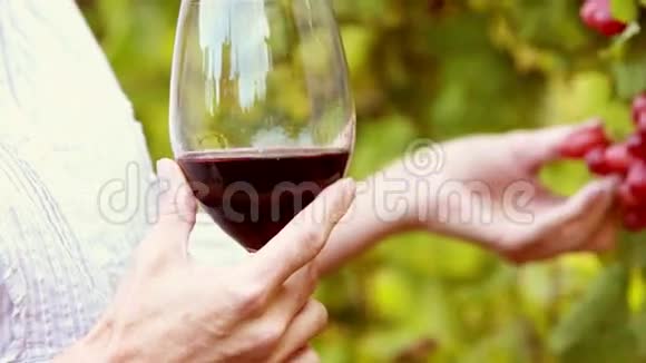 女酿酒师摸红葡萄视频的预览图