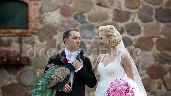 新婚夫妇用孔雀太阳鸟拍照视频的预览图