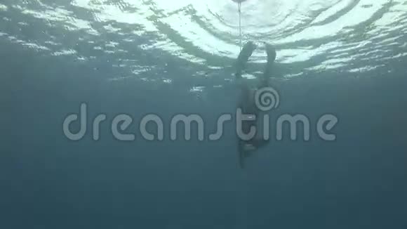 水下模型自由潜水员用红色浮标在红海干净的蓝色水中游泳视频的预览图