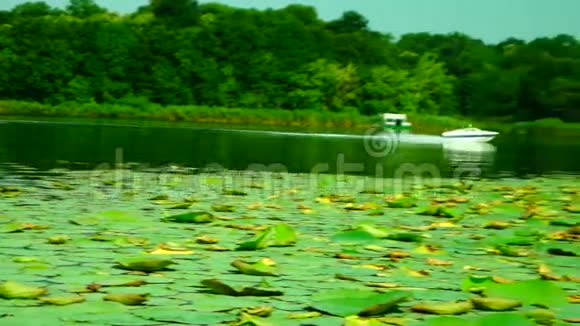 泛舟湖上的白色快速摩托艇视频的预览图