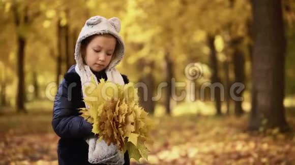 秋天七岁的女孩在公园散步手里拿着树叶视频的预览图