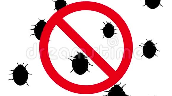 禁止标志中的甲壳虫视频的预览图