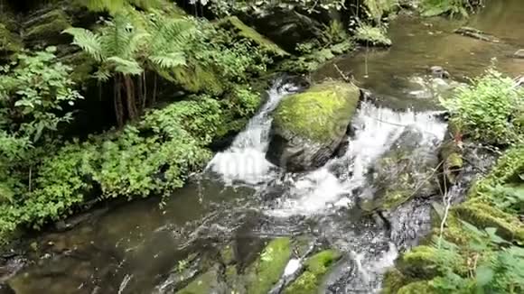 德国莫塞尔河Cochem旁边的野生安德特河沿着Martental山谷Enderttal流动视频的预览图