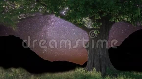星空下孤独的橡树视频的预览图