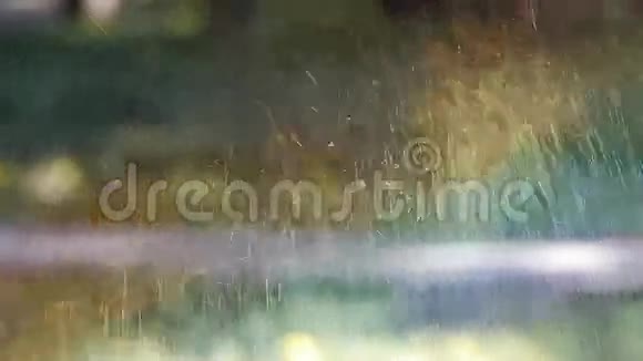 草地喷水在树林中阳光彩虹在草坪背景液滴背景视频的预览图