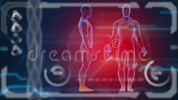 扫描仪人体未来派医学HUD监视器医学概念未来视频的预览图