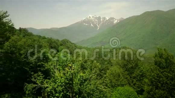 索契山脉覆盖着绿色的松树森林视频的预览图