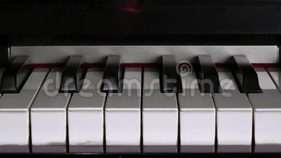 红玫瑰叶落在钢琴上视频的预览图