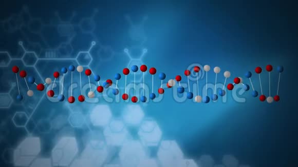 红色蓝色和白色DNA螺旋分子的动画视频的预览图