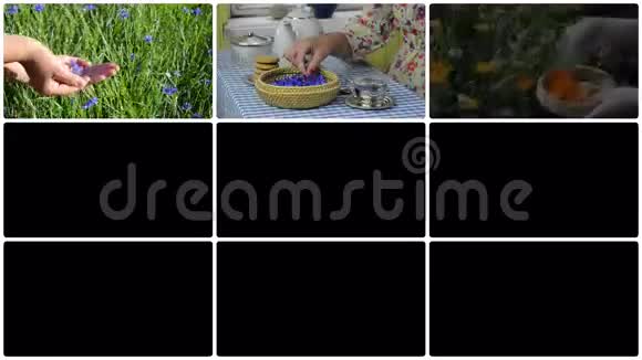 手采草做凉茶夹子拼贴视频的预览图