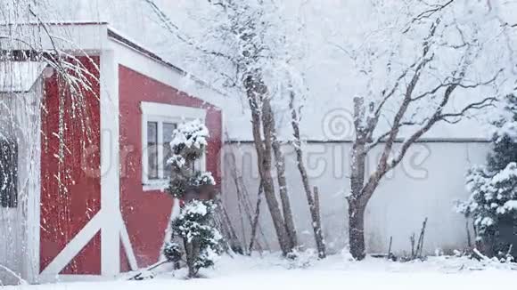 大雪纷飞视频的预览图