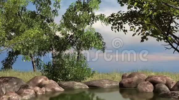 池塘里的树木和灌木从风中移动视频的预览图