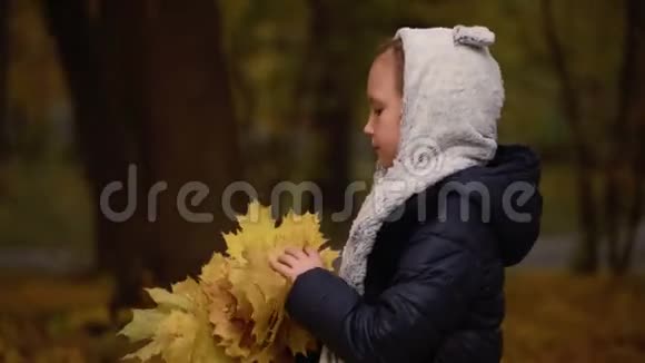 秋天七岁的女孩在公园散步手里拿着树叶视频的预览图
