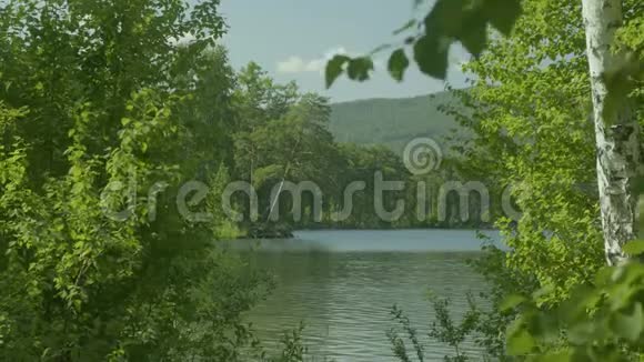 美丽的景色透过小镇外湖上的大绿树视频的预览图