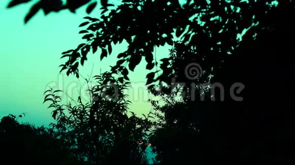 花园中的树木剪影绿松石灯潘视频的预览图