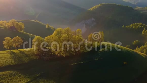特兰西瓦尼亚绿色森林的空中景色视频的预览图