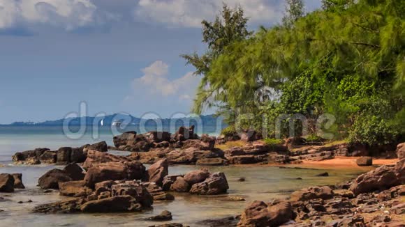 海滩附近浅水区带热带植物的岩石视频的预览图