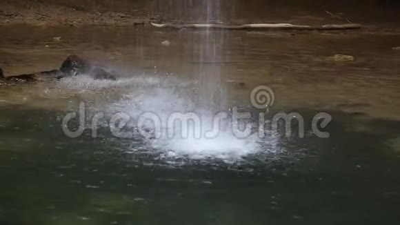 瀑布从热带倾泻而来视频的预览图