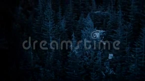 夜间飞越雪山森林视频的预览图