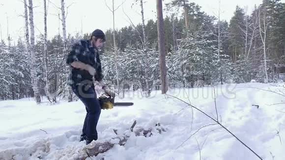 冬季白雪皑皑的森林里伐木工人用电锯手工锯木头视频的预览图