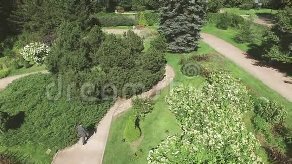 四架直升机拍摄美丽的绿色夏季花园与许多树木草坪晴天散步男视频的预览图