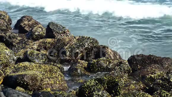 一股巨浪击中岩石波浪撞击热带海滩上的岩石形成飞溅的形状在岩石上的强大波浪视频的预览图