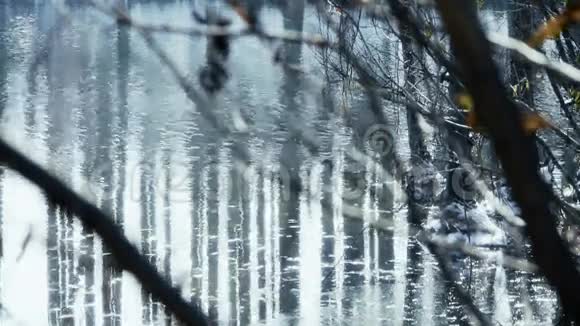 森林和树枝在沼泽湿地的水中倒影波光粼粼的涟漪雪视频的预览图