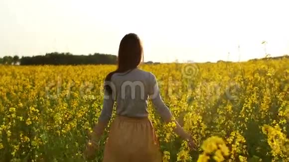 美丽的女孩在夕阳下穿过田野视频的预览图