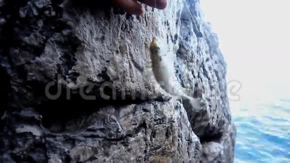 岩石海钓地中海视频的预览图