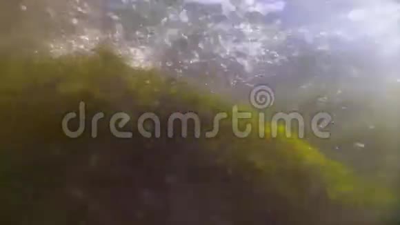 充满气泡和海藻的强大水下溪流视频的预览图