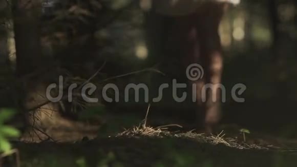 女孩赤脚走在树林里视频的预览图