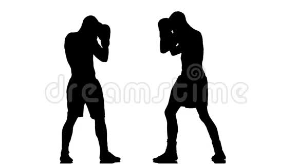打两个冠军拳击手白色背景的人剪影视频的预览图