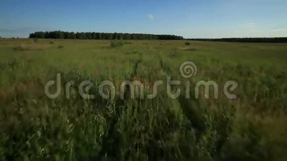 夏季的乡村景观鸟瞰图视频的预览图