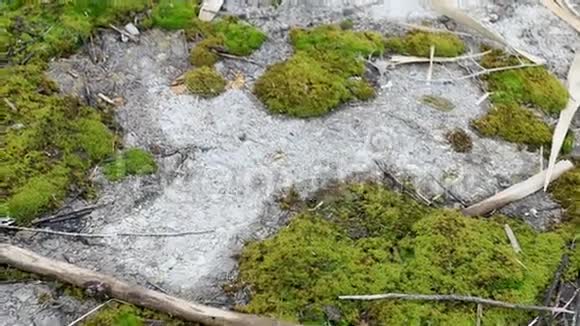 青苔破旧路沥青视频的预览图